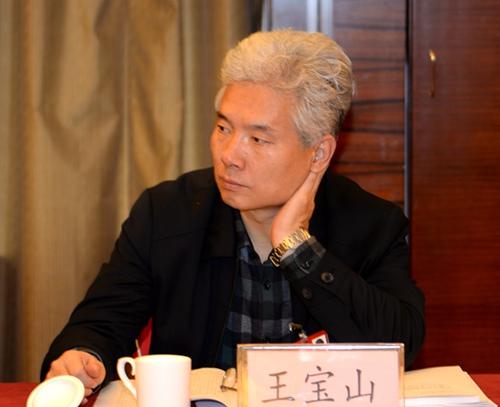 王宝山与深圳二零二八：中国现代足球的未来之路