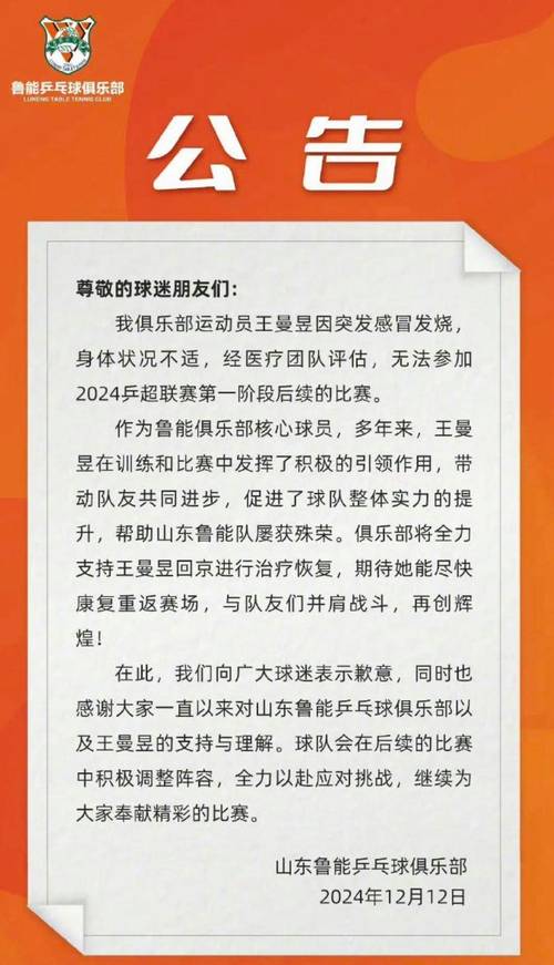 山东鲁能官网：官方信息平台，一手掌握鲁能信息