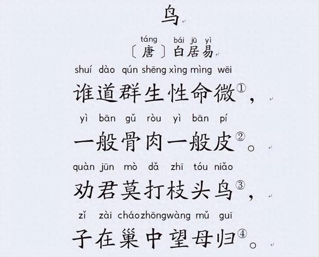 路加鸟读什么？带你了解路加鸟的读音和含义