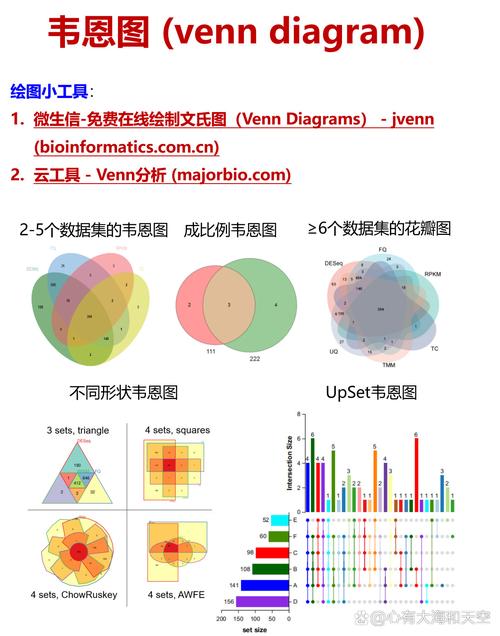 维恩图是什么？图解集合关系的实用工具
