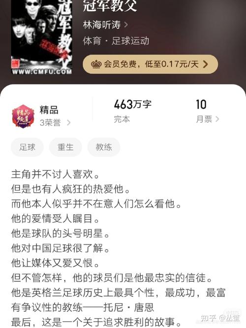 高分足球小说合集：重温绿茵赛场的激情岁月