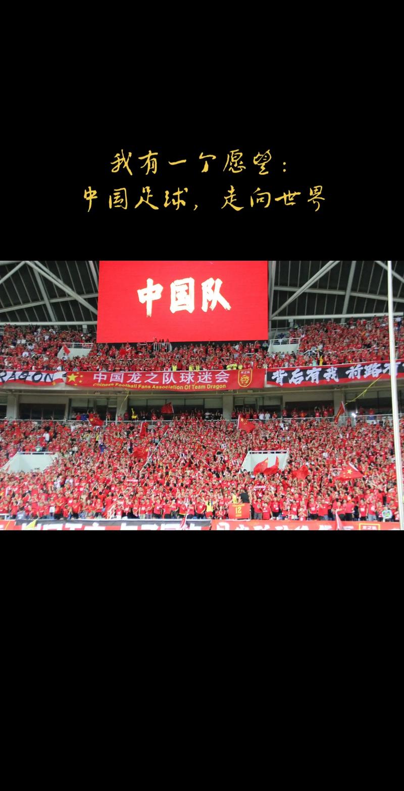 热血足球迷！他们为何如此痴迷足球这项运动