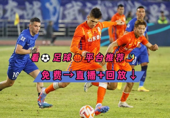 各大联赛足球视频直播，免费高清无广告