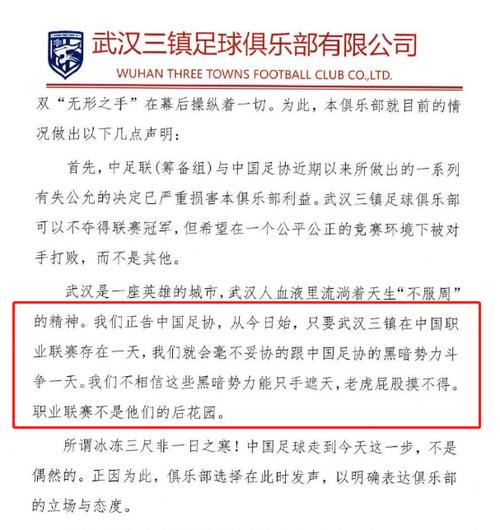 深度解读武汉三镇足球队：辉煌战绩背后的隐忧与挑战