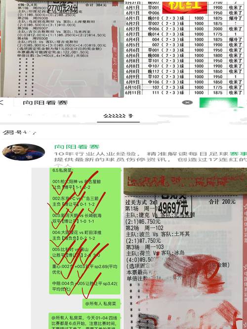 权威足球比分网：精准数据，让你不错过任何精彩进球