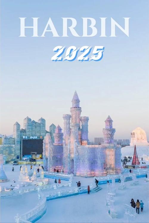 2025年亚冬会取消了吗？最新官方消息解读