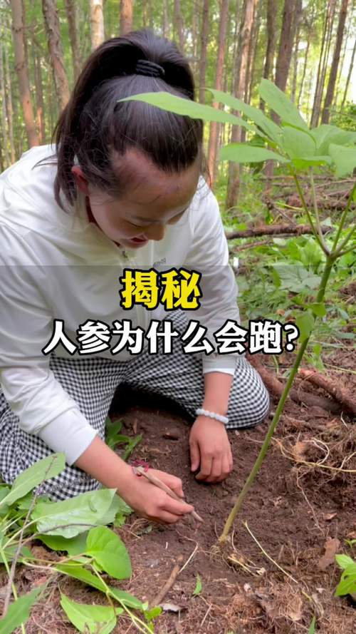 揭秘：为什么会有三个罗纳尔多？他们的故事和成就