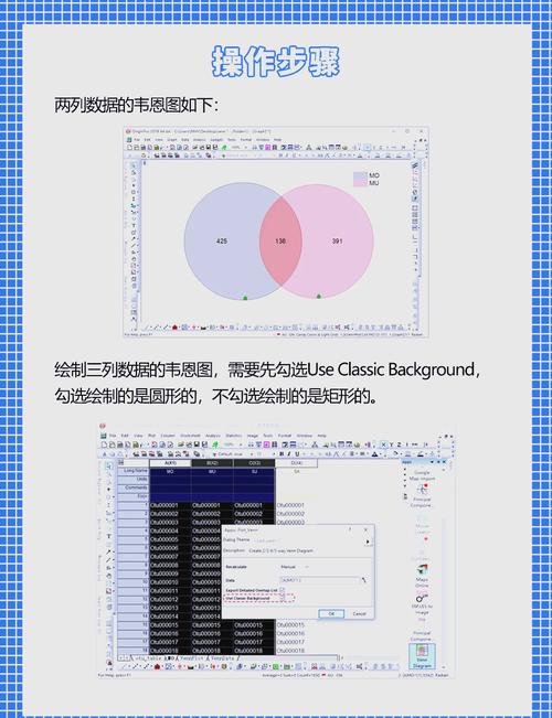绘制维恩图的步骤及技巧，简单易懂