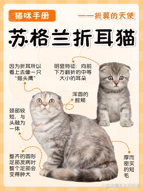 简单了解苏格兰：它是英国的一部分吗？