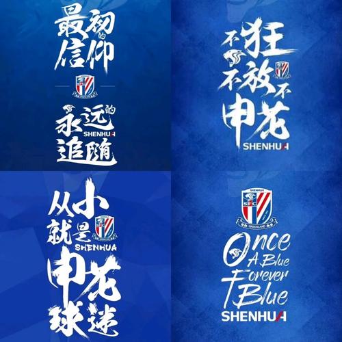 申花是什么牌子？买过的朋友都怎么评价？