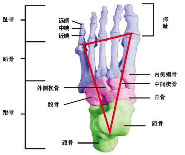 深度剖析皮亚尼奇的足球水平，究竟是几流球员？