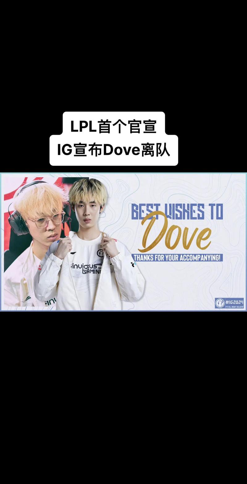 LPL豪门IG战队卖了？买家究竟是谁？