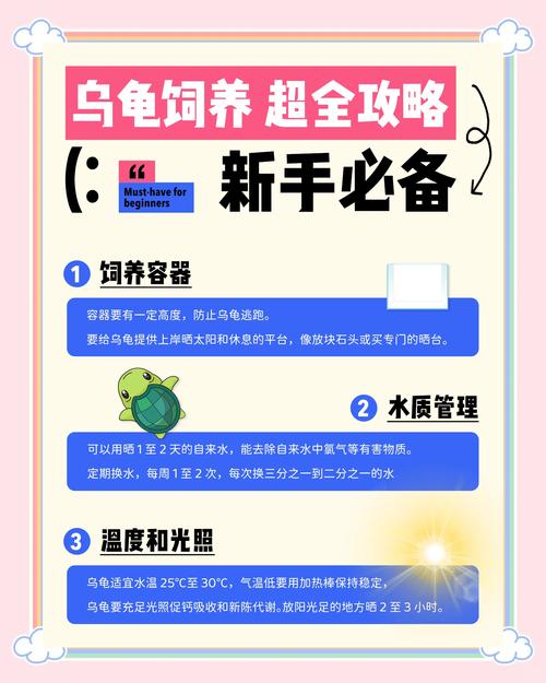 小巴西龟怎么养？新手必看饲养指南！