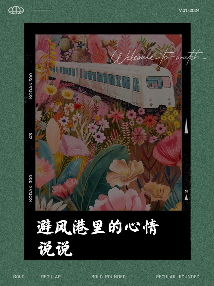 避风港是什么意思？揭秘避风港的多种含义及例句