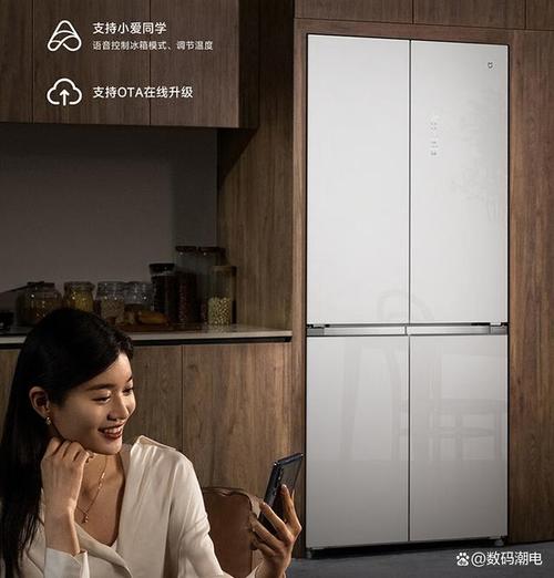 奥马冰箱怎么样？性价比之王还是徒有虚名？