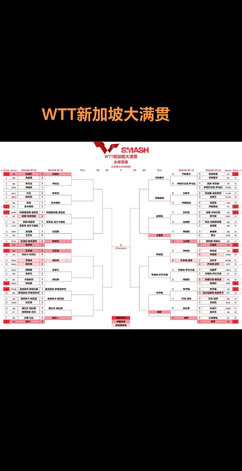 WTT赛事是什么级别？带你了解WTT乒乓球比赛