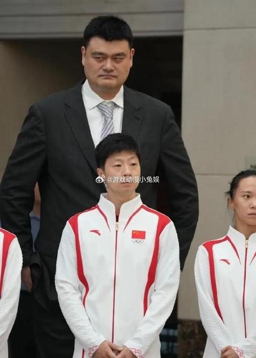 姚明的小鸟尺寸是多少？深度分析与解读