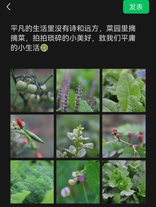 沈祥福水平怎么样？听听圈内人对他的真实评价！