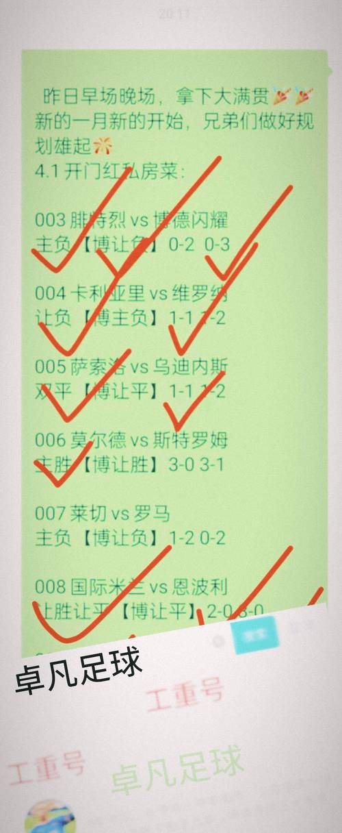 云达不来梅比分预测：专家分析最新赛况走势！