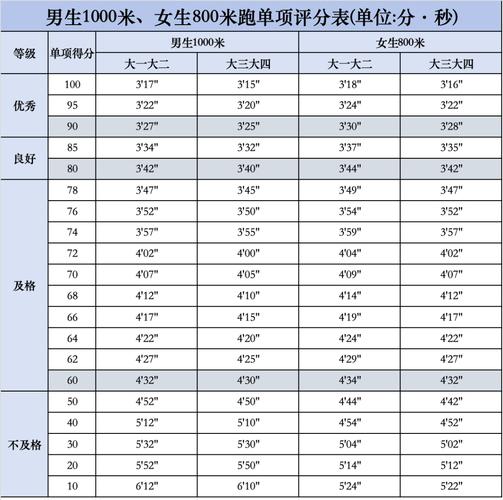 田径运动包括哪些内容？新手入门必看指南！