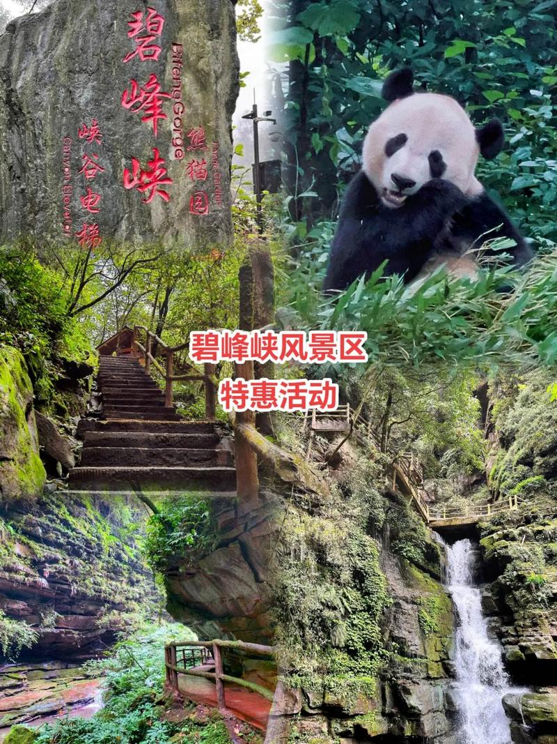 碧峰峡门票价格2024，现在去玩要花多少钱？