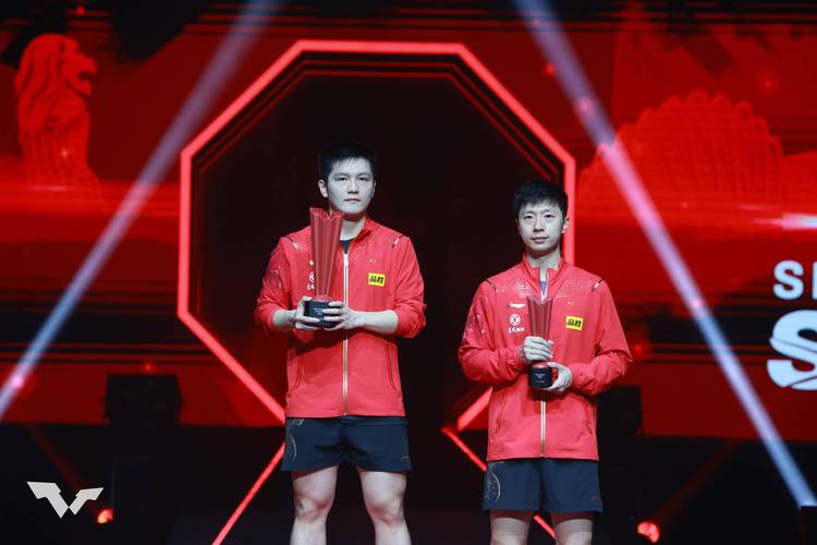 馬龍對比樊振東誰更厲害？兩位乒壇高手大比拼！