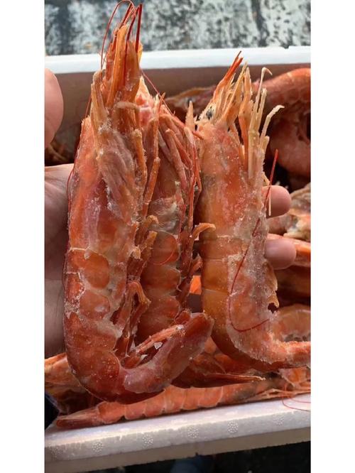 阿根廷红虾好吃吗？对比其他虾类优势在哪里？
