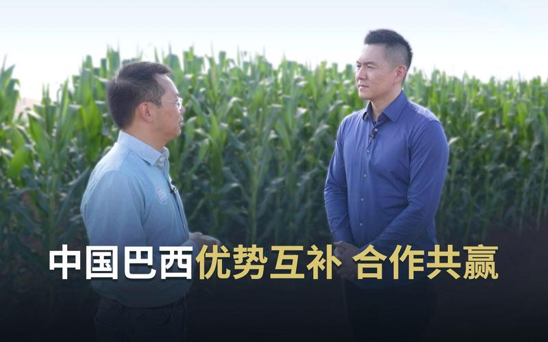 中国和巴西的关系怎么样？这几个细节告诉你答案！