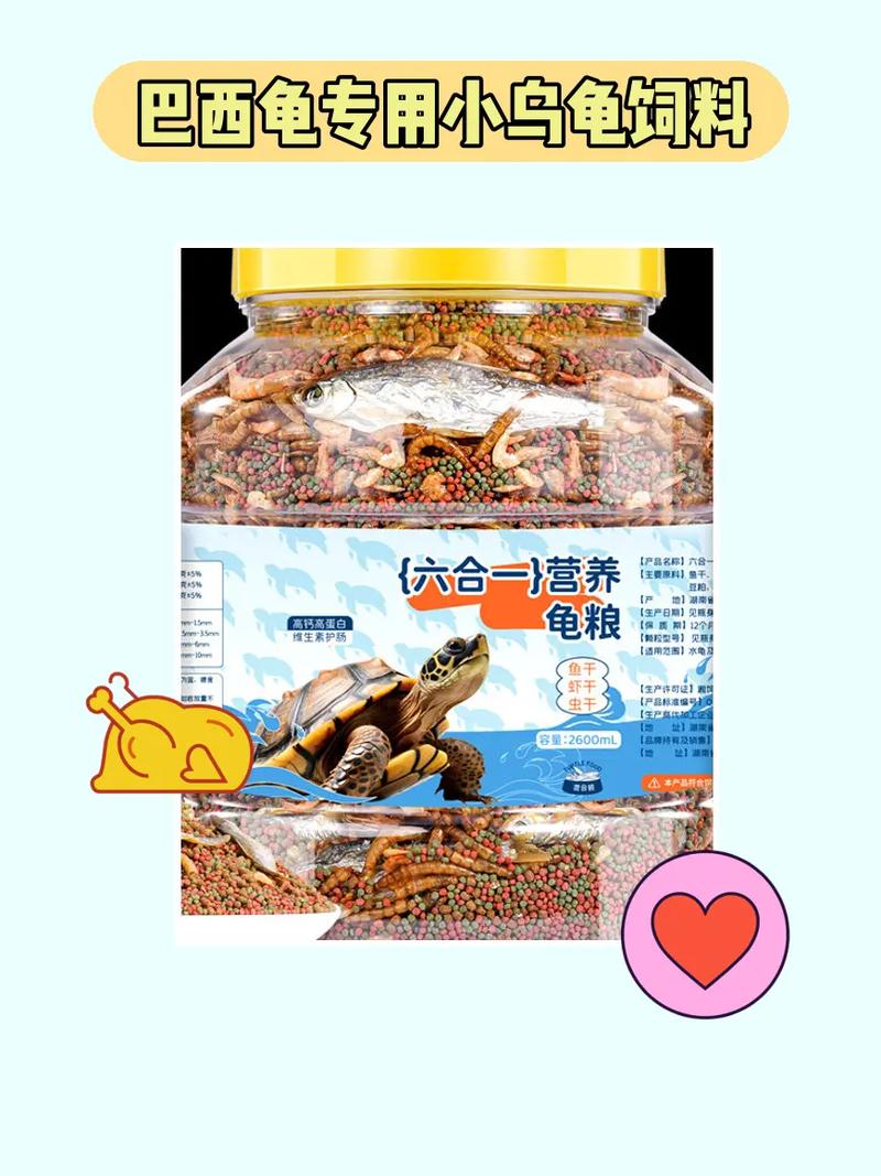 巴西龟除了龟粮还能吃啥？这些食物也能喂！