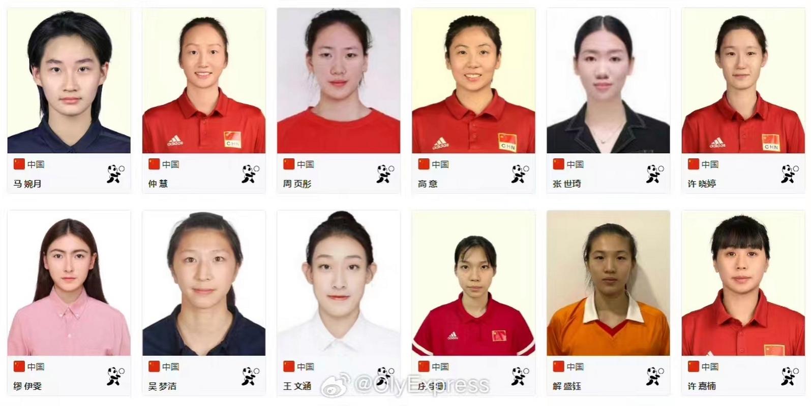 中国女排队员名单，各个位置都有哪些人在？