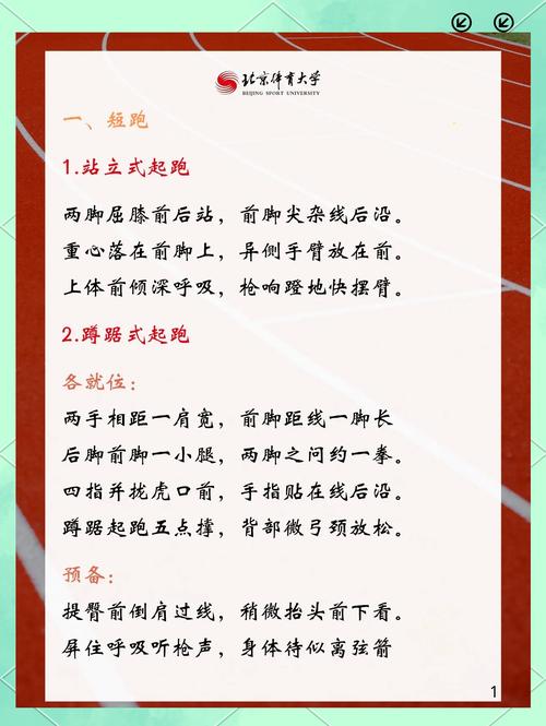 田径运动包括哪些内容？新手入门必看指南！