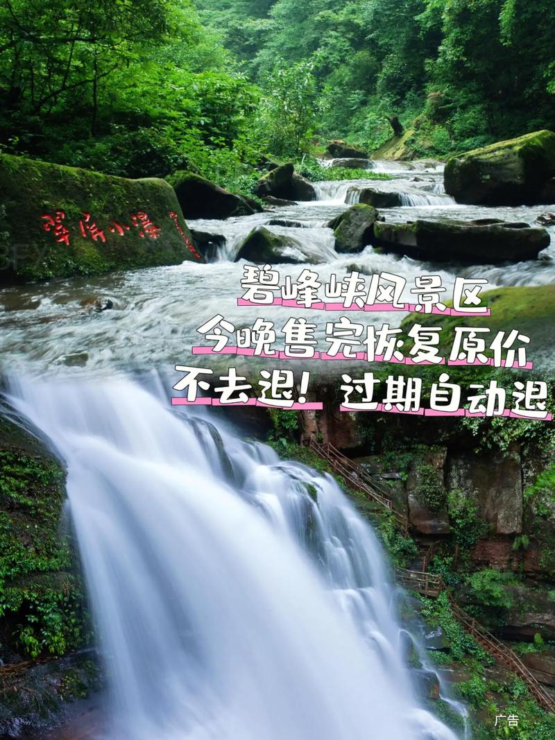 碧峰峡门票价格2024，现在去玩要花多少钱？