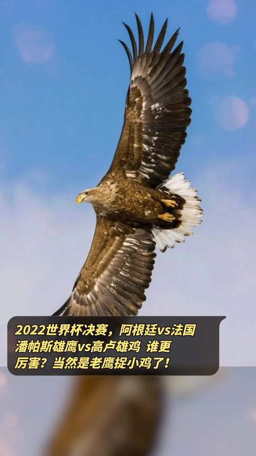 阿根廷足球厉害吗？揭秘潘帕斯雄鹰的足球实力！