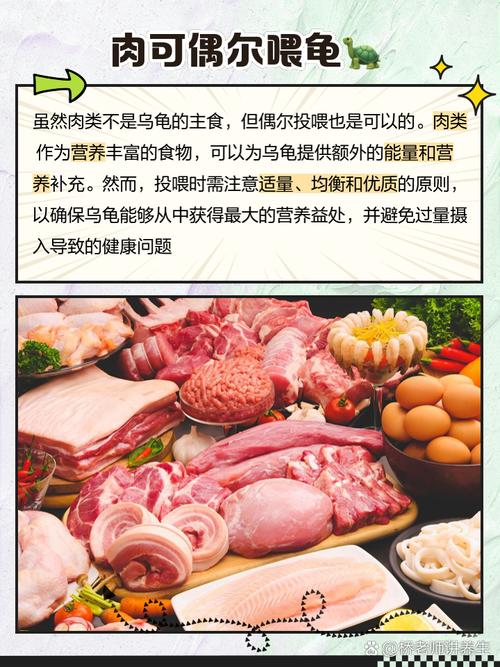 巴西龟吃什么食物比较好？这些常见食物要知道！