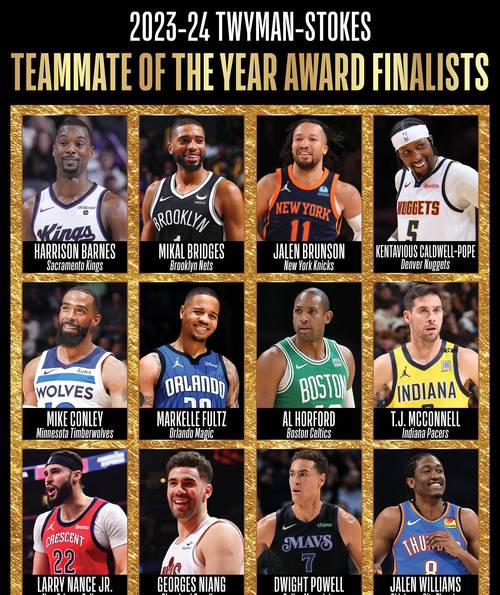 nba球队有哪些？30支球队名单大揭秘（2024最新版）