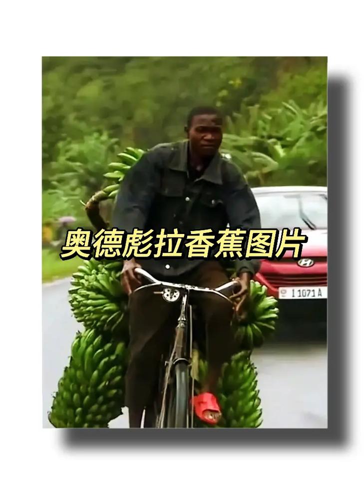 泰兰德的香蕉梗详解：你了解这个魔兽世界笑话吗？