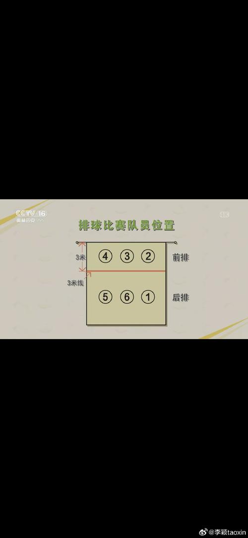 排球这项运动起源于哪个国家？一起来了解它的历史！