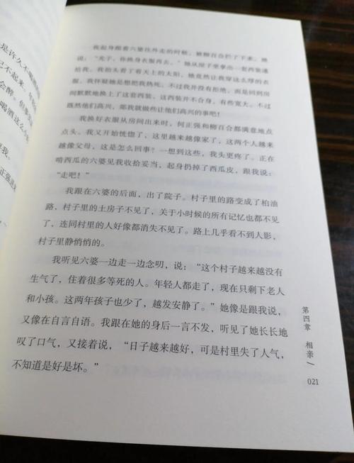 张玉宁云达不莱梅之旅：梦想与现实的碰撞