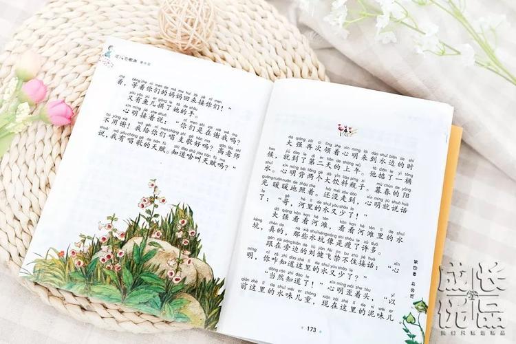 揭秘央视四大破鞋：那些你不知道的故事