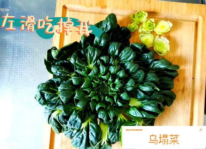 乌塌菜怎么做好吃？简单家常做法分享