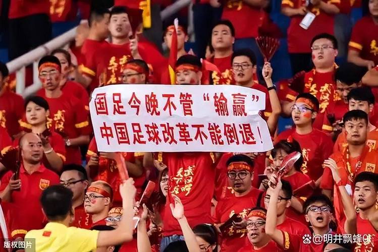 探秘韩国世界杯：参赛次数、最佳战绩及未来展望