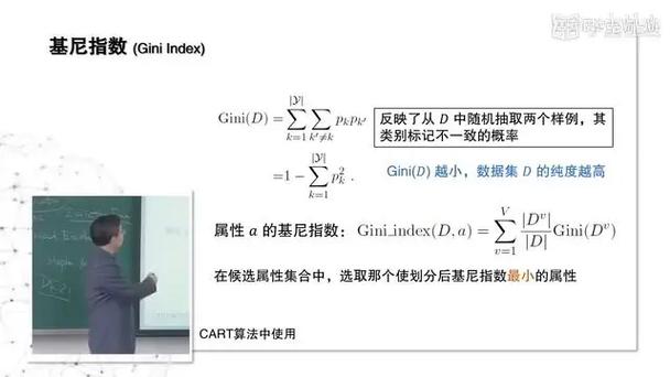 洲际赛是什么意思？小白也能轻松理解的解释