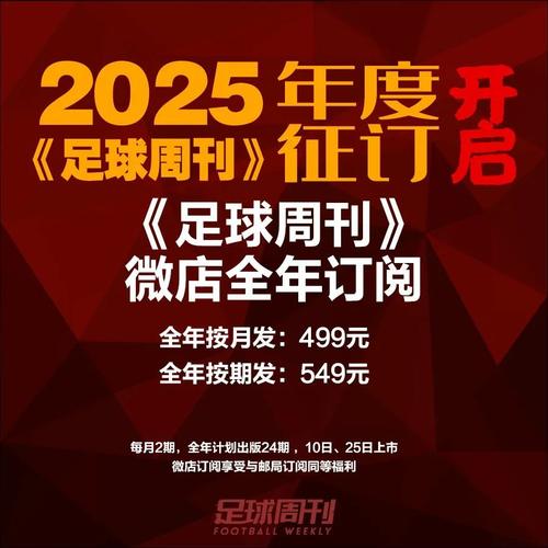 2025年买足球哪个牌子性价比高？口碑推荐