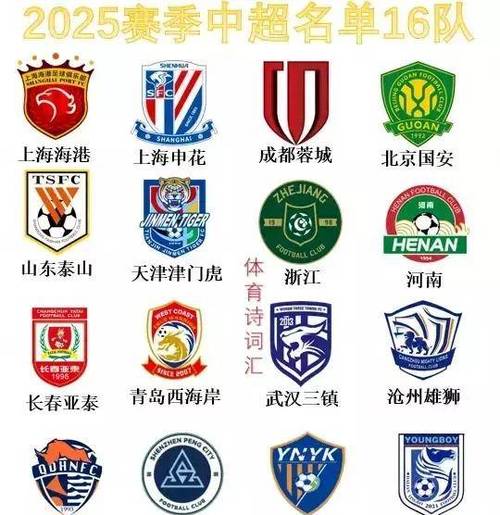 2025中超联赛球队一览：都有哪些球队参赛？