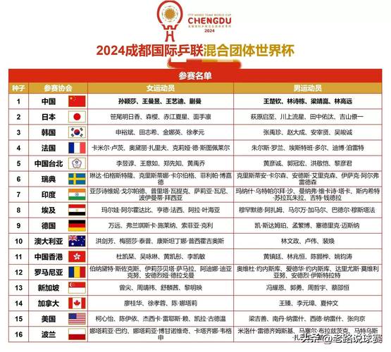 乒乓球比赛类型有哪些？详解各种赛事级别