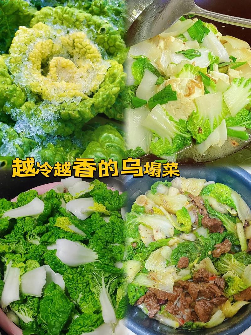 乌塌菜怎么做好吃？简单家常做法分享
