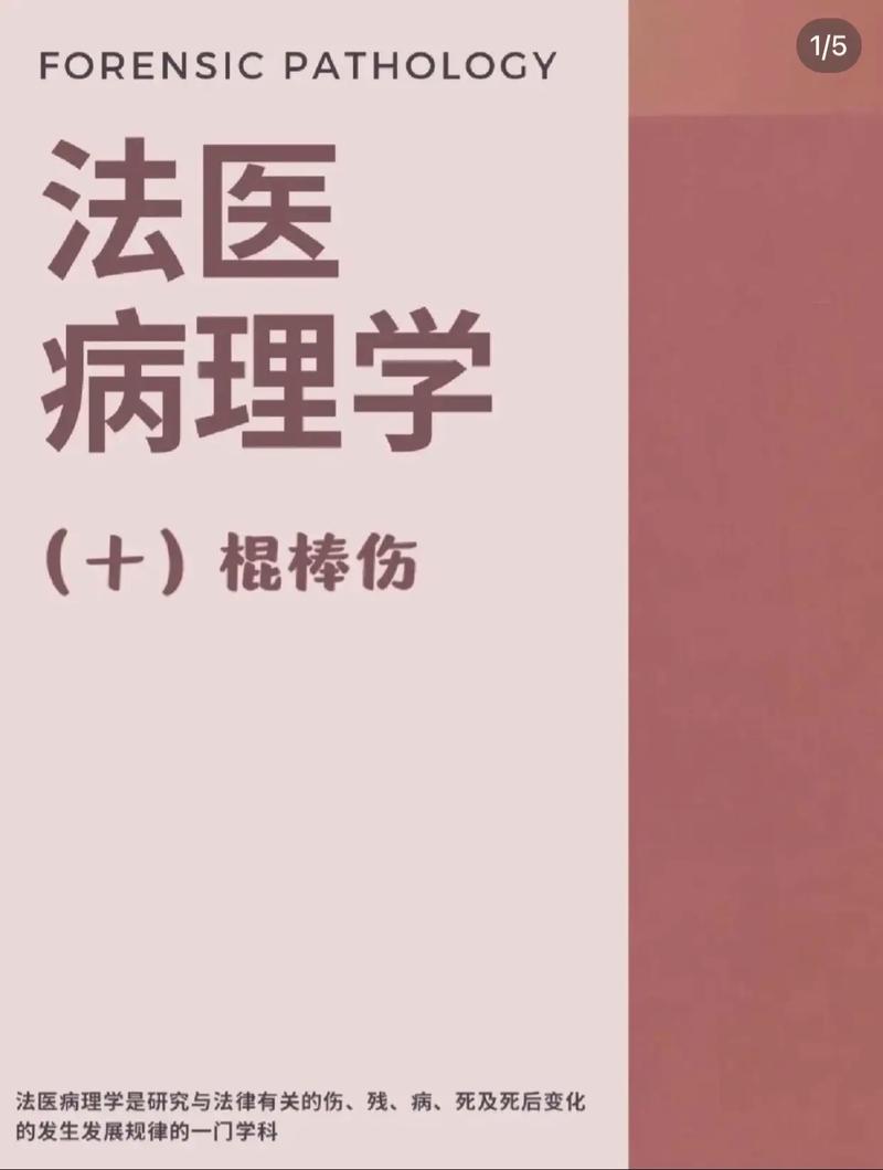 法医学是干什么的？揭秘法医的日常工作和职业发展