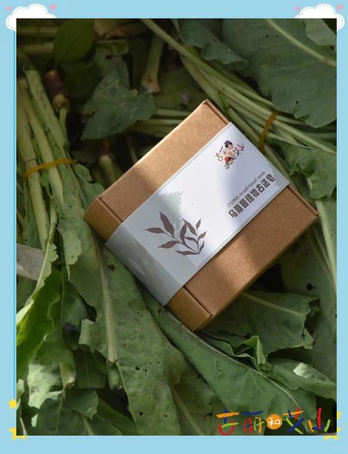 奥斯曼草真的能生发吗？有效成分及使用方法详解