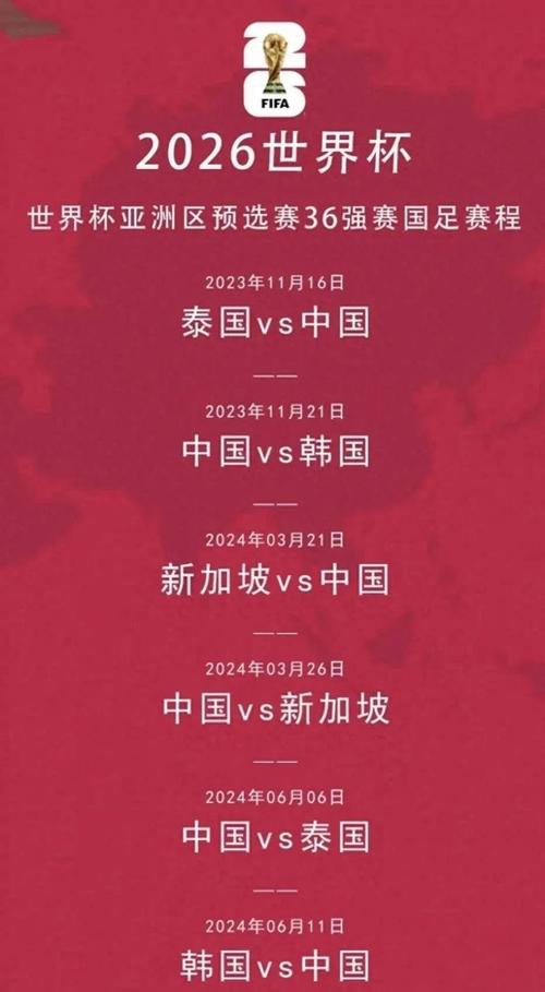 中国举办过世界杯吗？深度解析中国足球世界杯之路