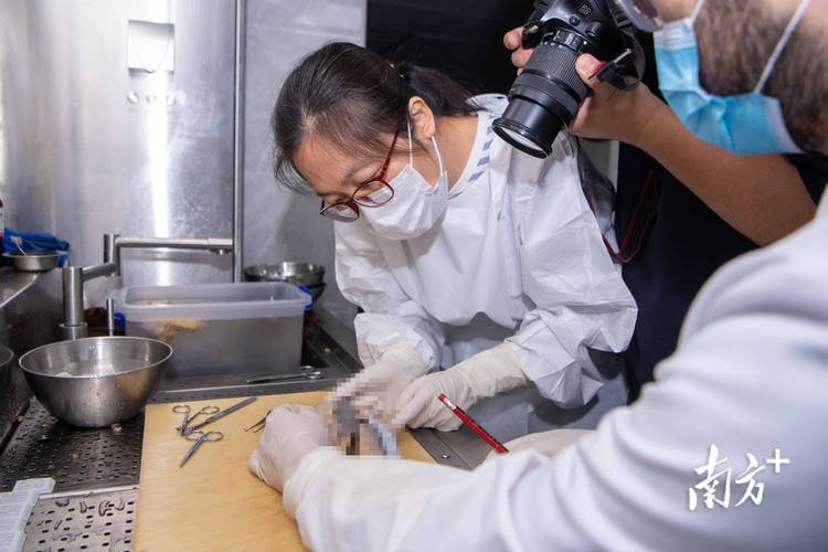 法医学是干什么的？揭秘法医的日常工作和职业发展